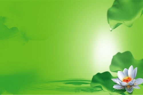 地球是我家,綠色環(huán)保小知識(shí)送大家