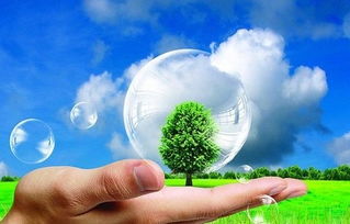 中國環(huán)保裝備網(wǎng)上線轉(zhuǎn)拍網(wǎng)