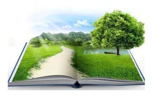 環(huán)保政策對(duì)工程項(xiàng)目的風(fēng)險(xiǎn)與應(yīng)對(duì)